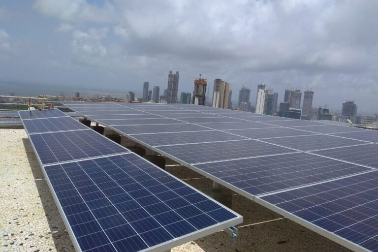 Solar Systems for the Dairy Industry